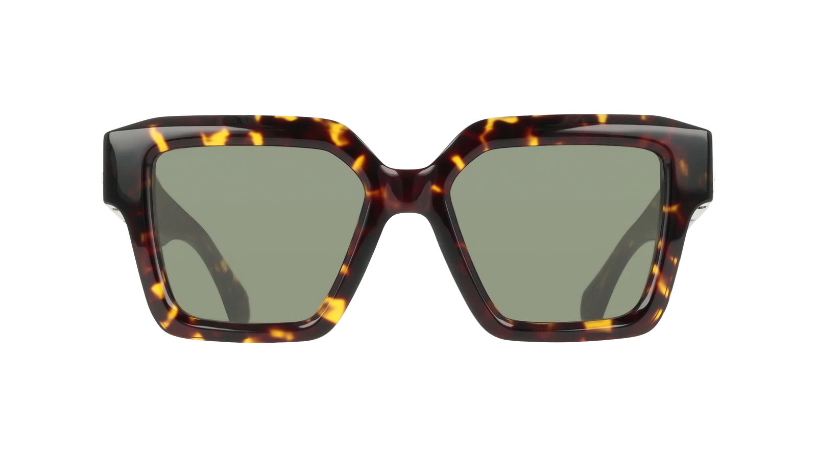 Salvatore Ferragamo SF2084S-242-5319 53mm