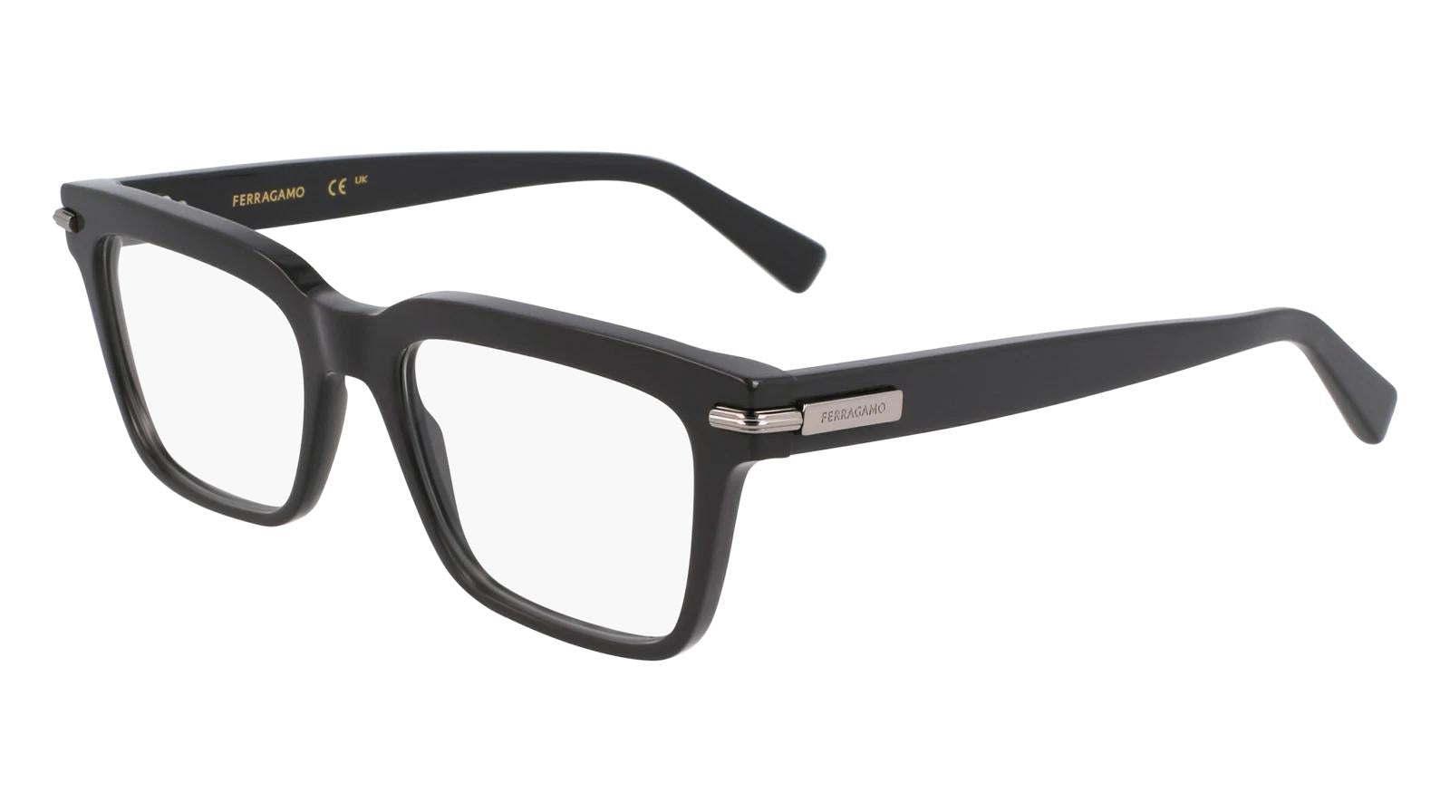 Salvatore Ferragamo SF3014-019-5518 55mm