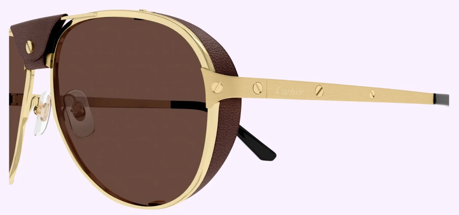Cartier CT0296S-005 61