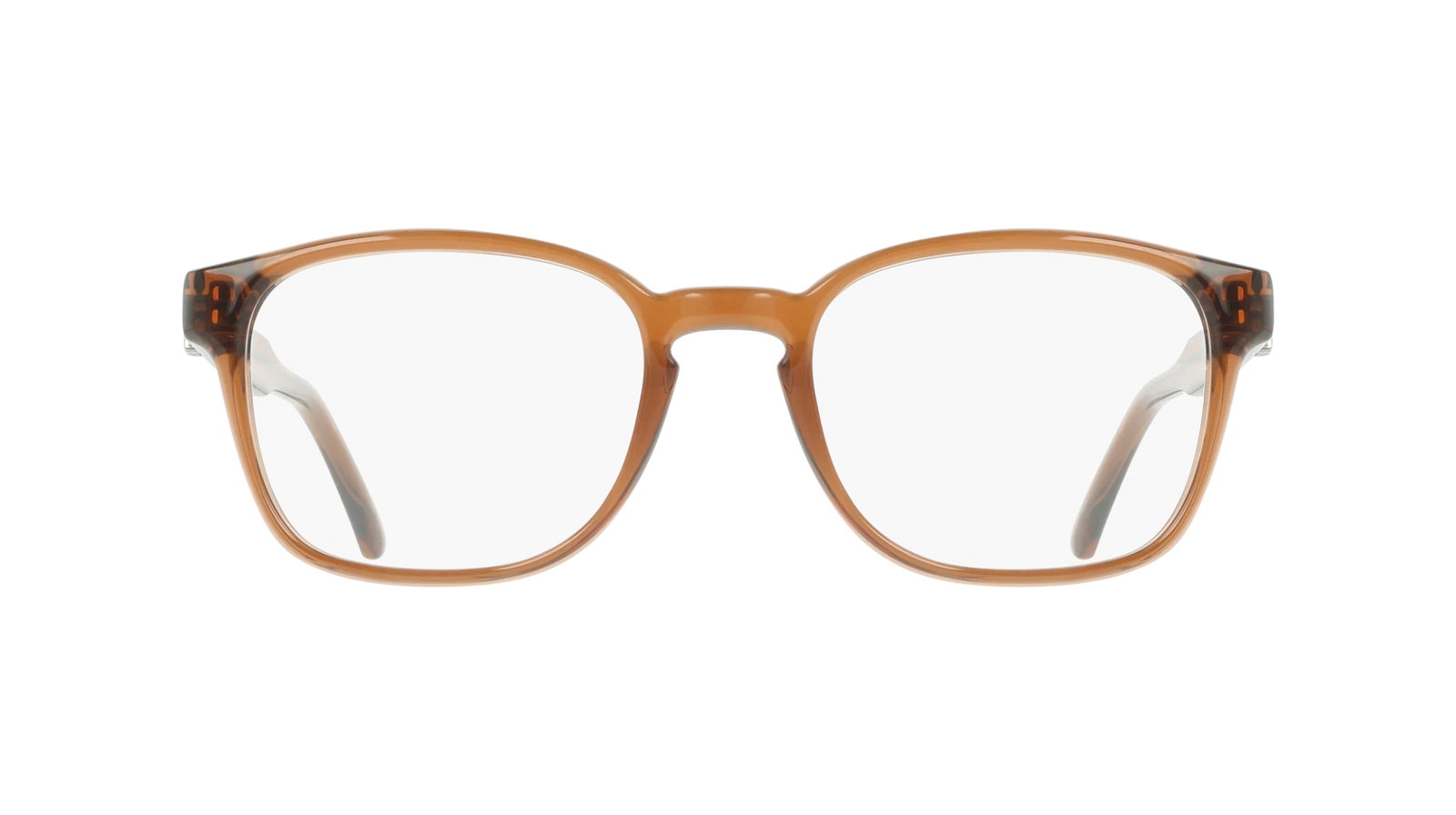 Salvatore Ferragamo SF3027E-232-5220 52mm
