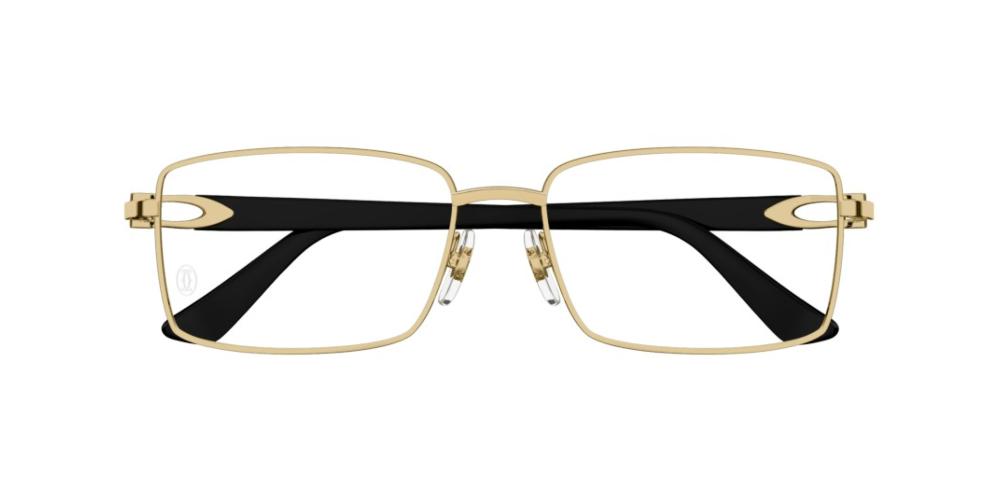 Cartier CT0520o-001 58mm