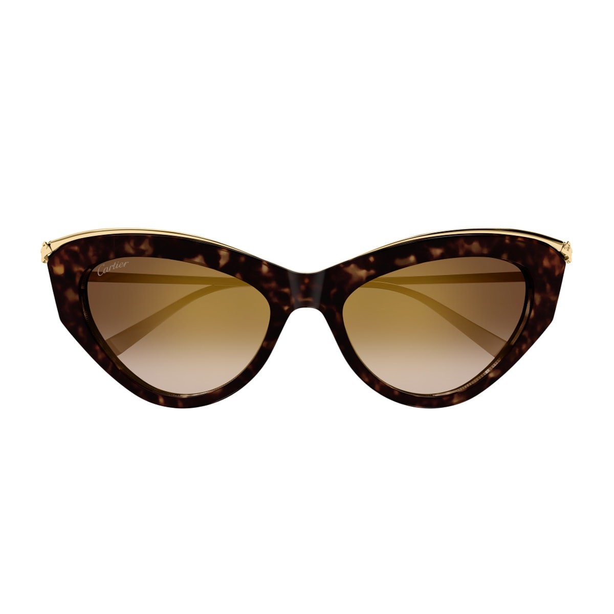 Cartier CT0596S-002 55