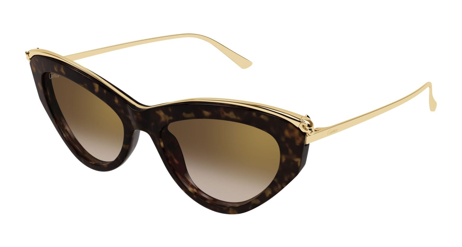 Cartier CT0596S-002 55