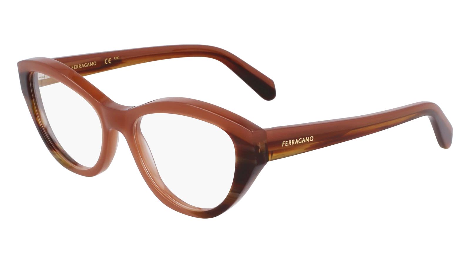 Salvatore Ferragamo SF3011-254-5317 53mm