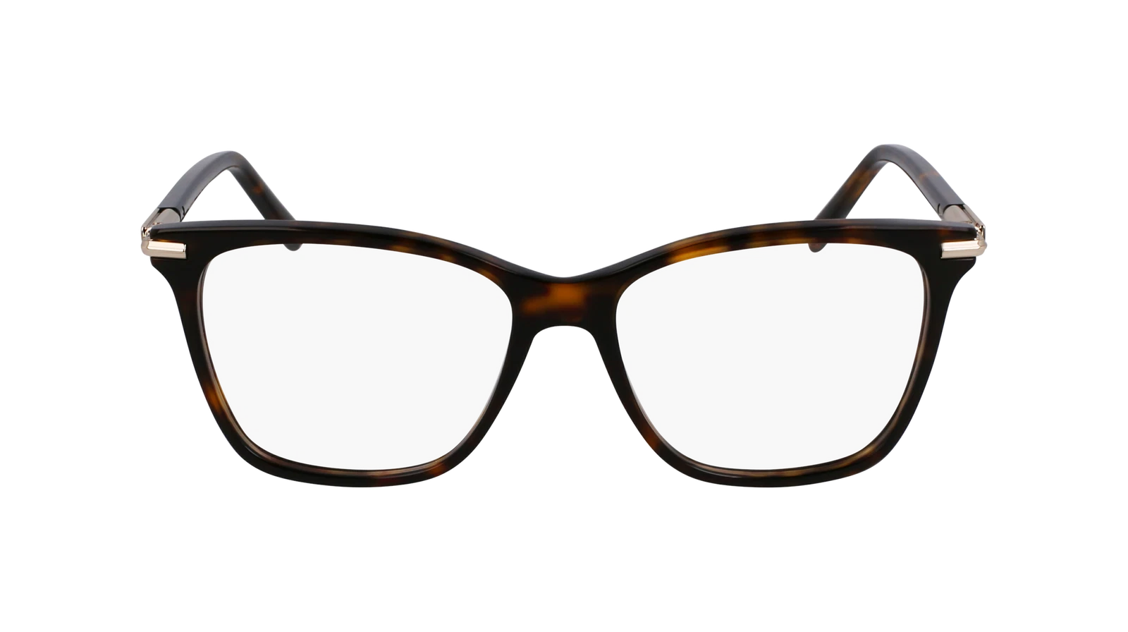 Salvatore Ferragamo SF3013-242-5315 53mm