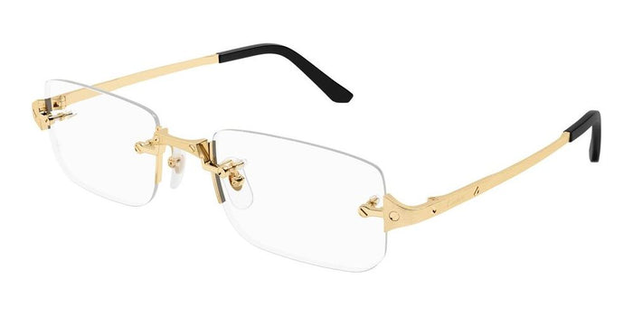 Cartier CT0479o-001 54
