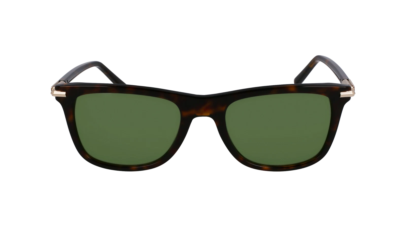 Salvatore Ferragamo SF2028S-242-5420 54mm