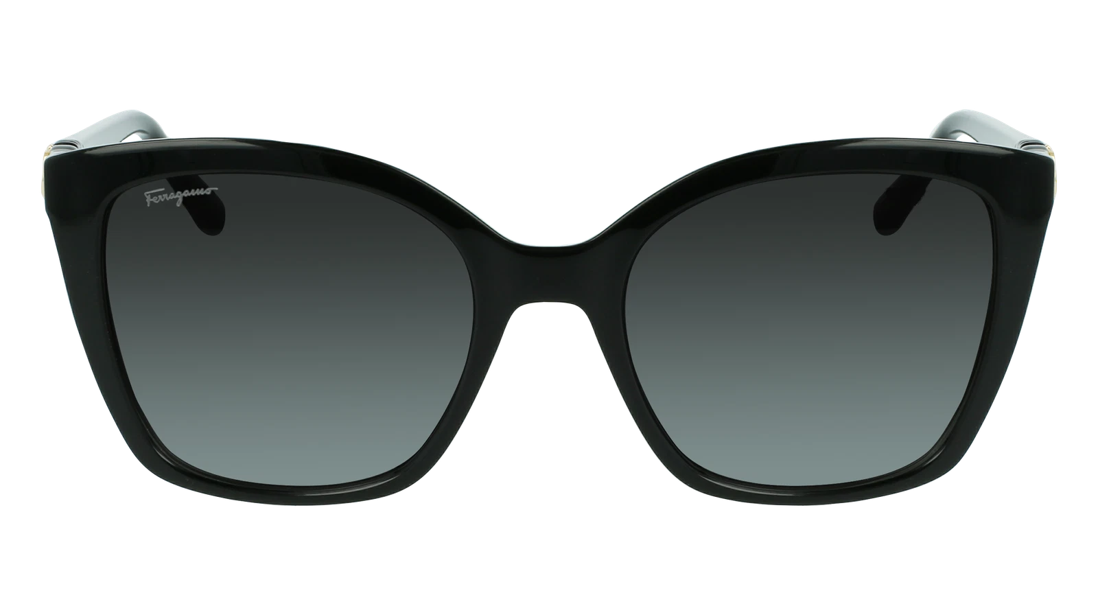 Salvatore Ferragamo SF1026S-001-5419 54mm