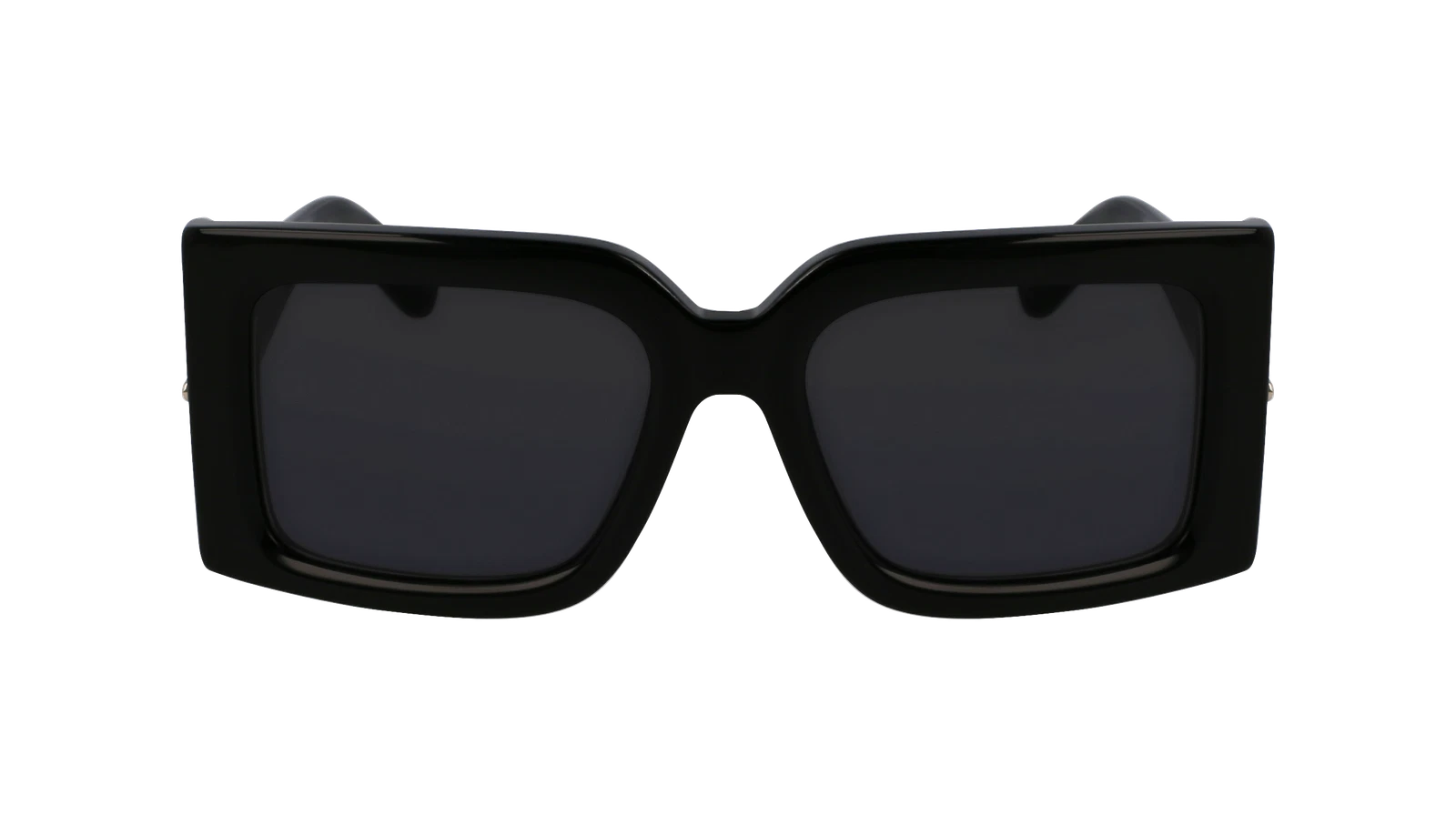 Salvatore Ferragamo SF2032S-001-5519 55mm