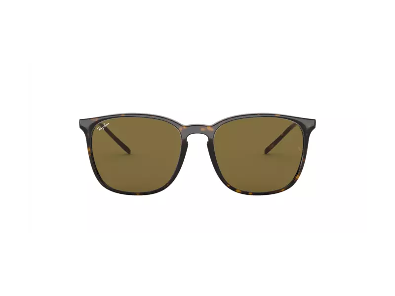 Ray Ban RB4387F-902-73-55