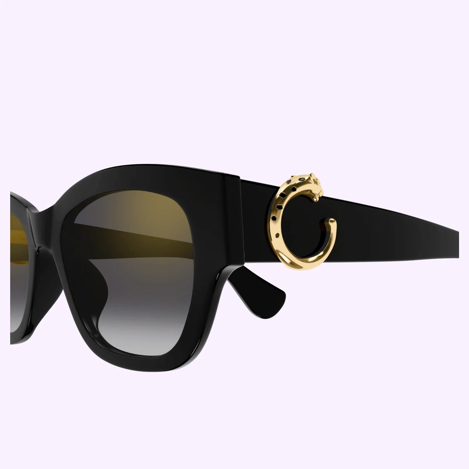 Cartier CT0548SA-001 55
