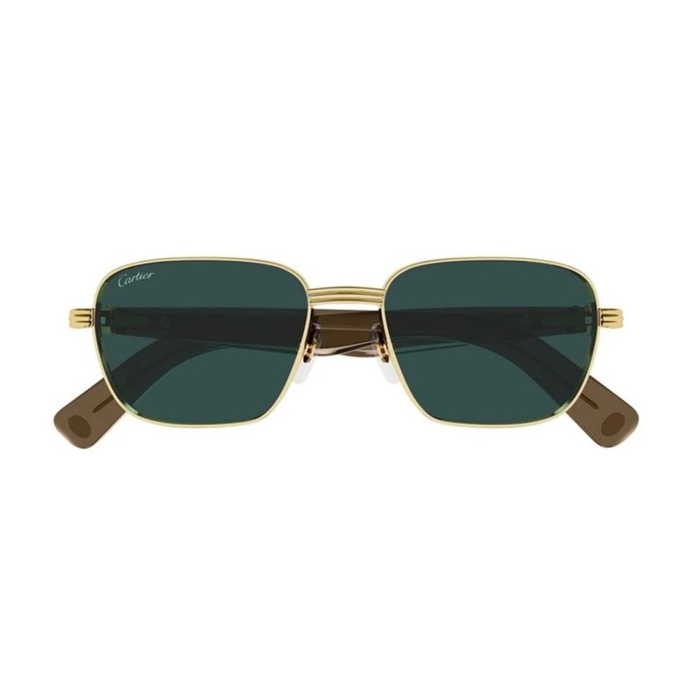 Cartier CT0538S-007 55