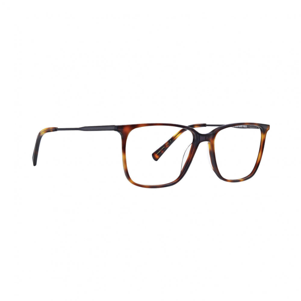 Life Is Good Nathan Tortoise 54mm