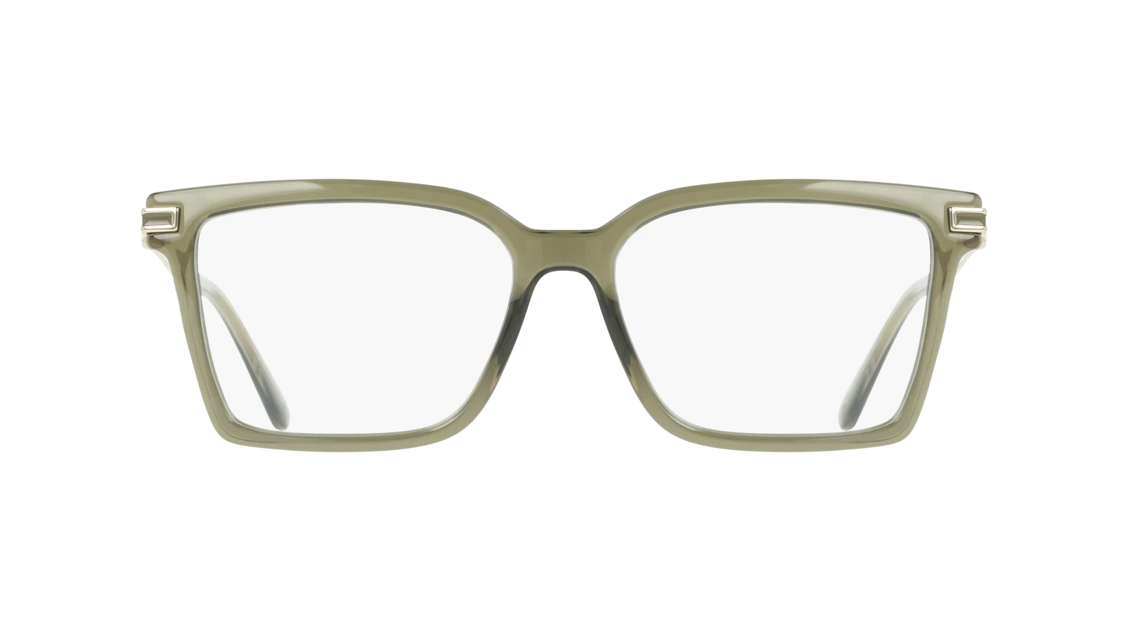 Salvatore Ferragamo SF3039-320-5415 54mm