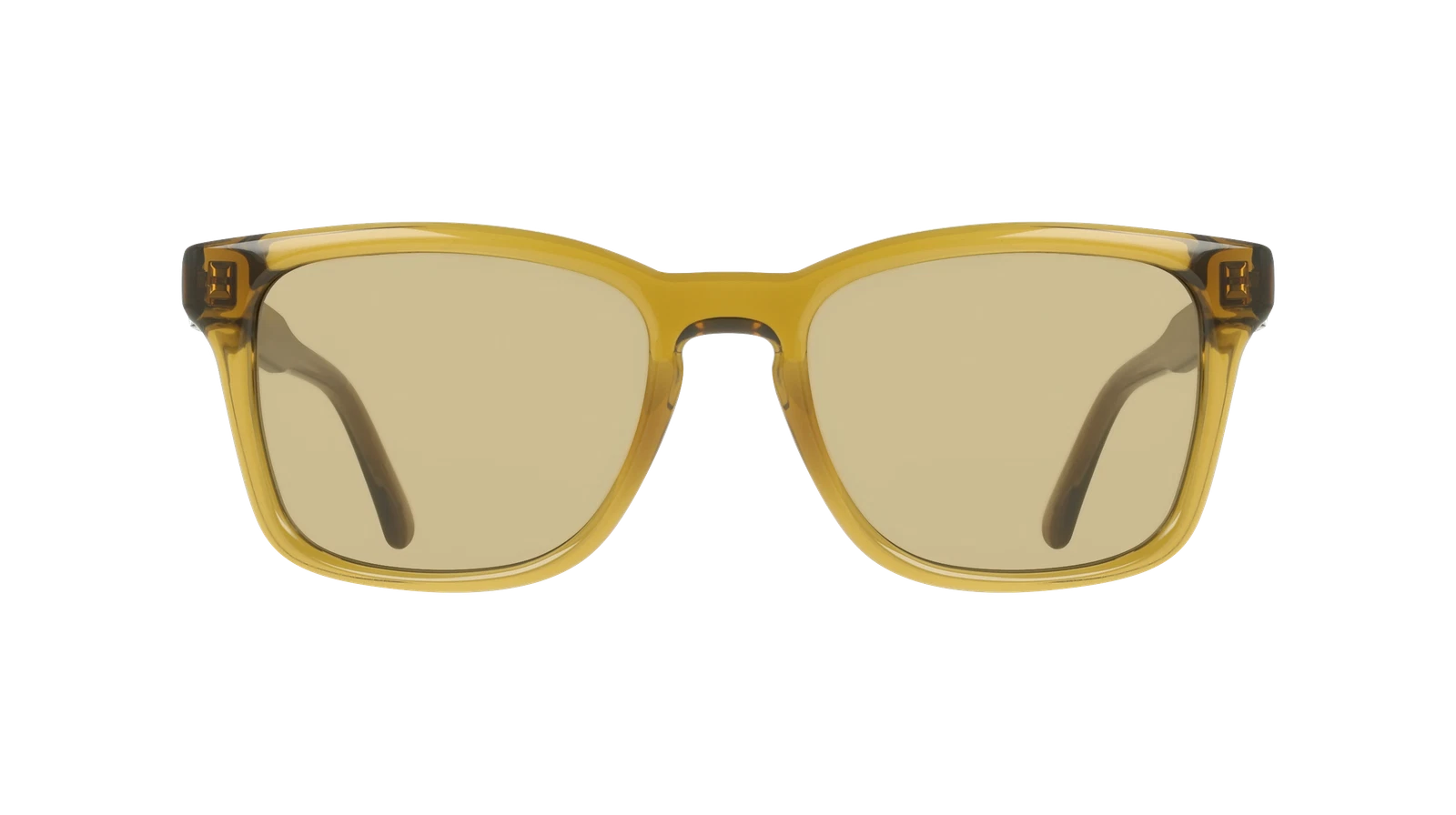 Salvatore Ferragamo SF2086SE-259-5519 55mm