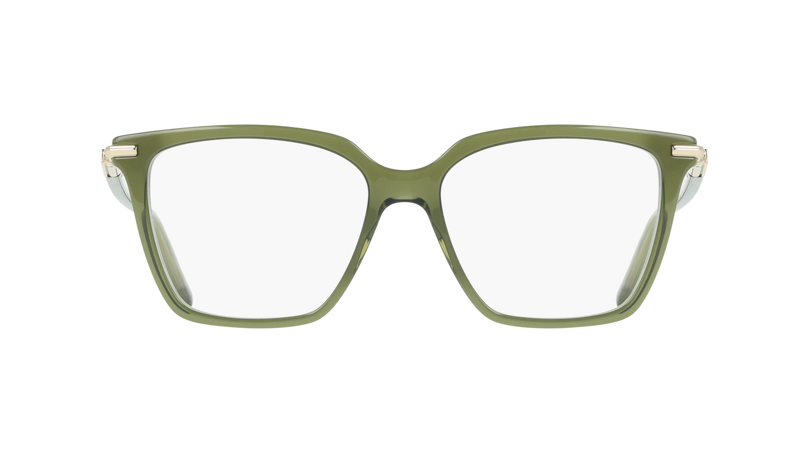 Salvatore Ferragamo SF3038-317-5416 54mm