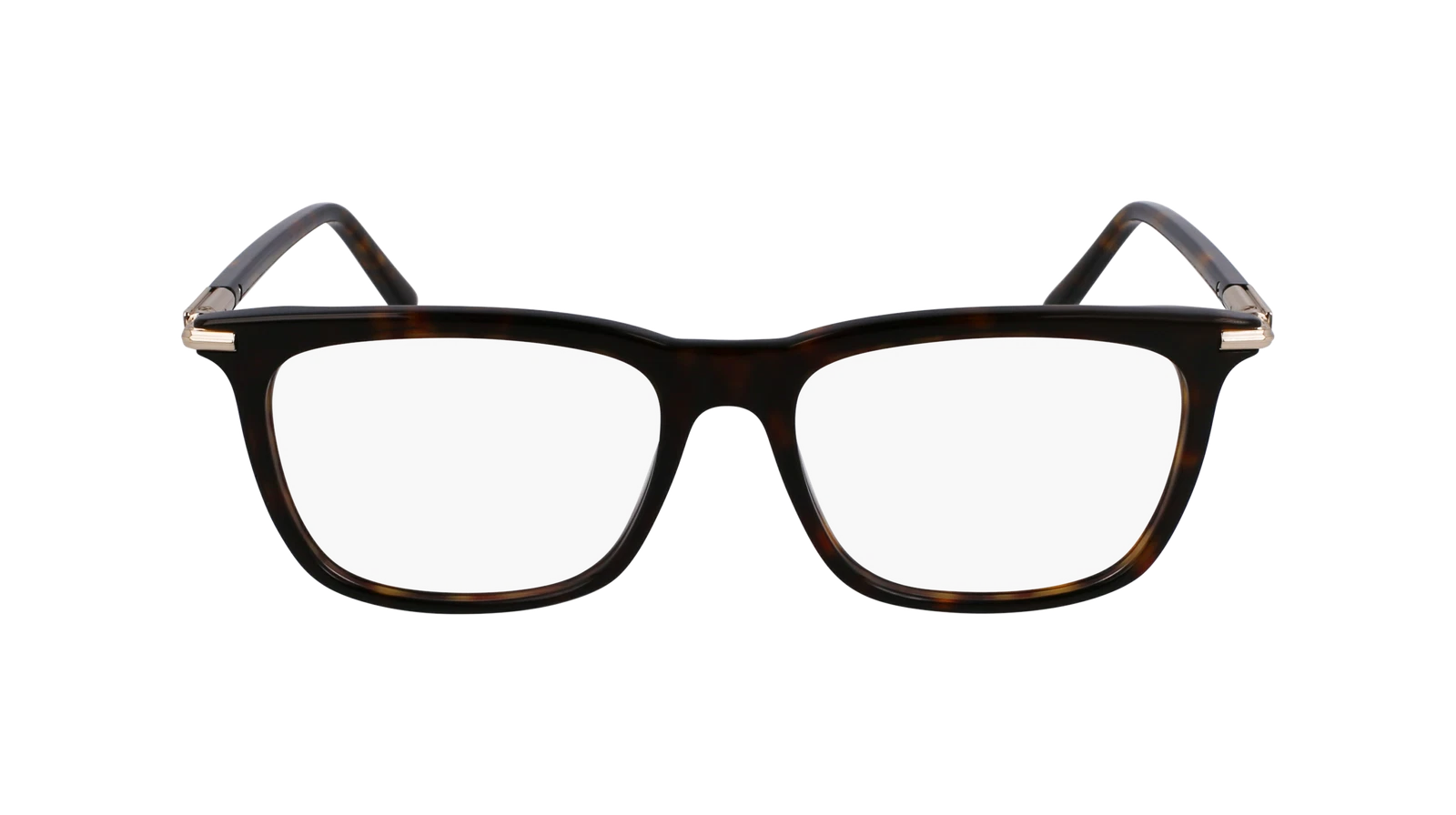 Salvatore Ferragamo SF3007-242-5317 53mm