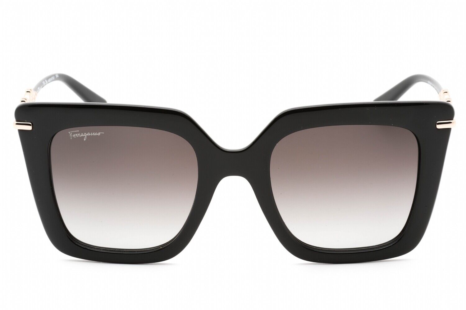 Salvatore Ferragamo SF1041S-001 51mm