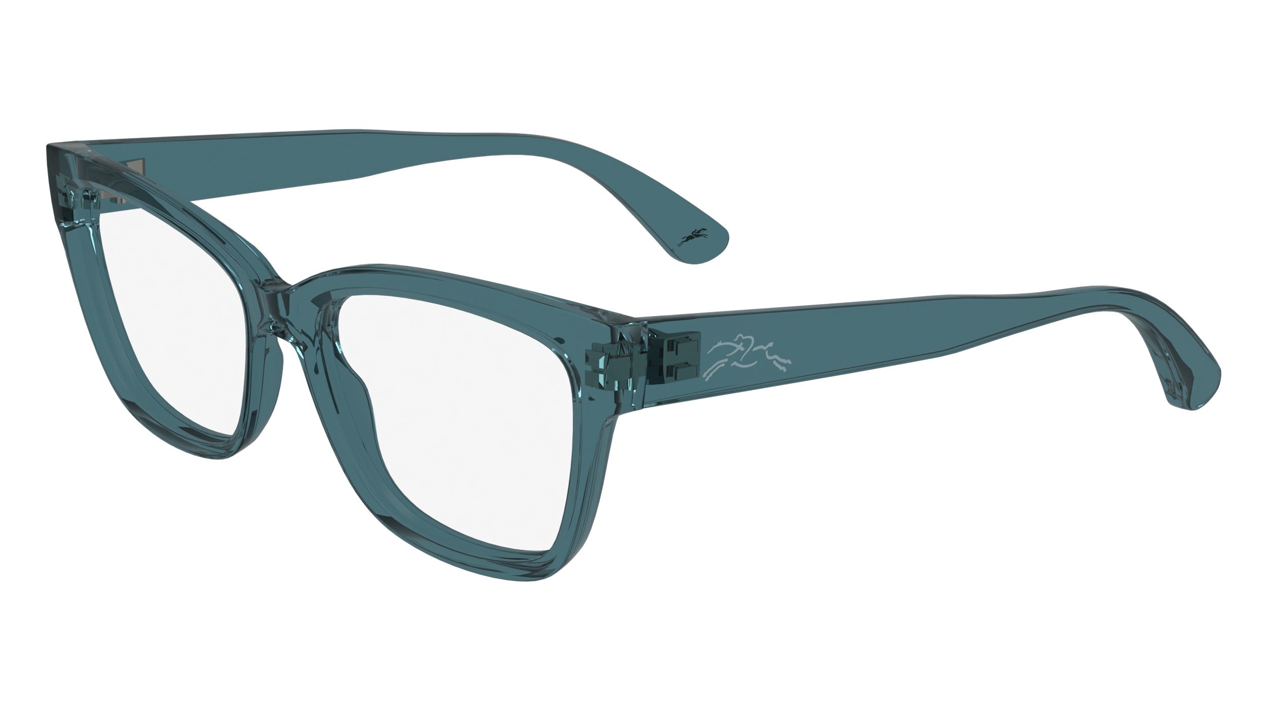 Longchamp L02738-405-53 53 mm
