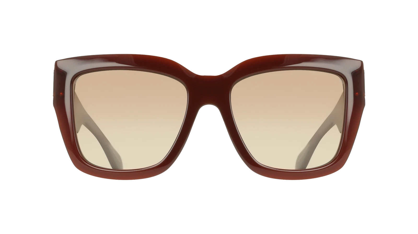 Salvatore Ferragamo SF2083SE-210-5518 55mm