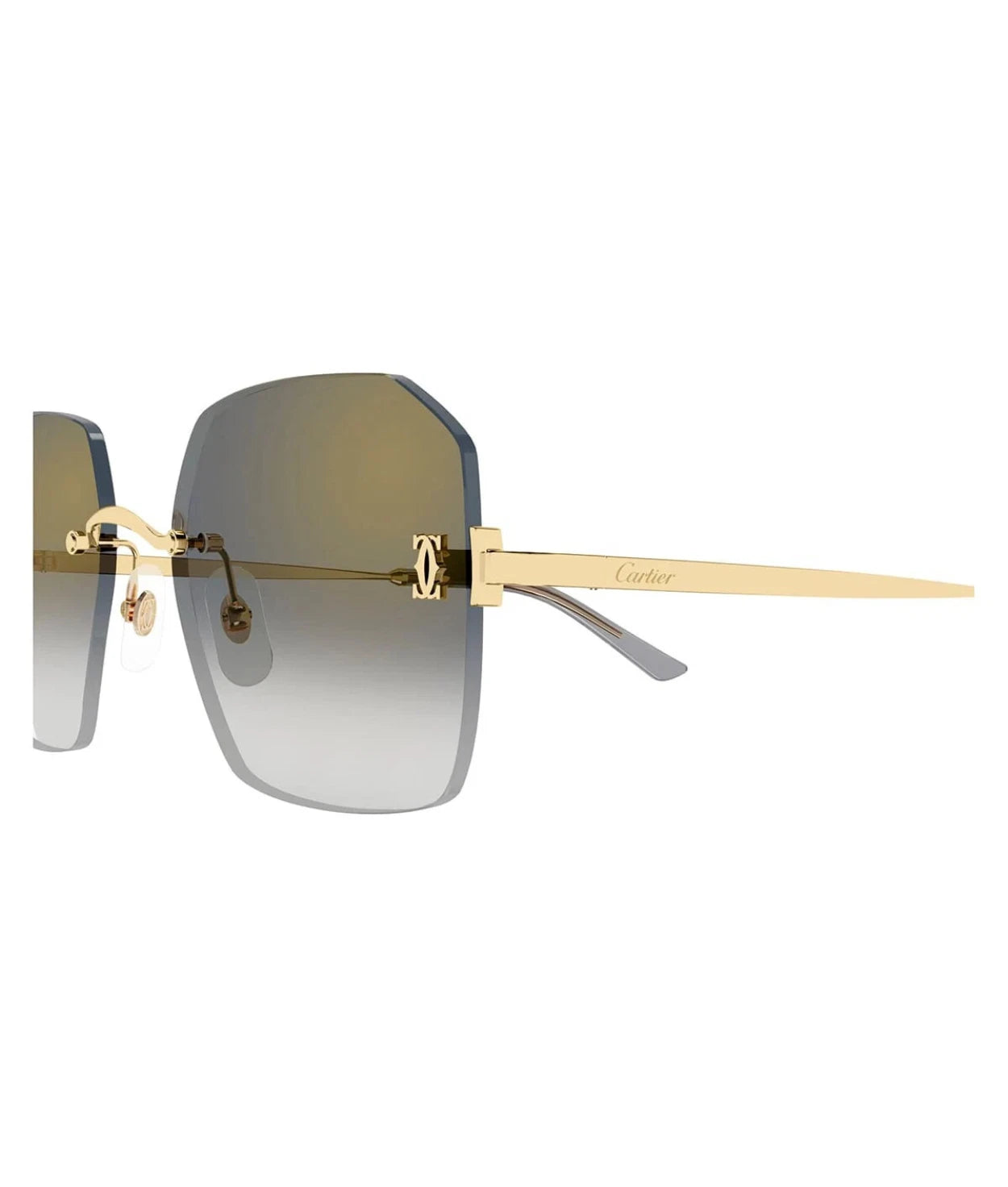 Cartier CT0591S-001 55