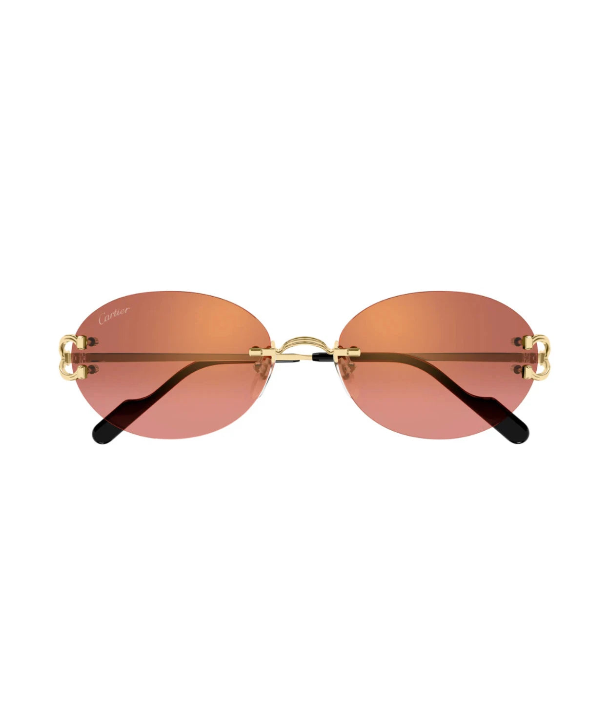 Cartier CT0551S-005 55