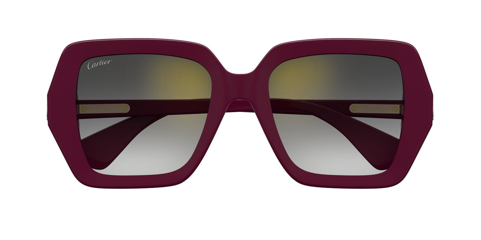 Cartier CT0507S-003 54mm